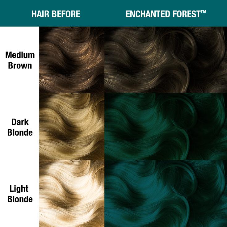 ENCHANTED FOREST™ - CLASSIC HIGH VOLTAGE®