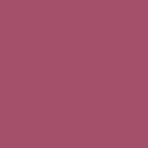Sally's Spell Velvet Matte Lipstick - Pink Pleaurotus