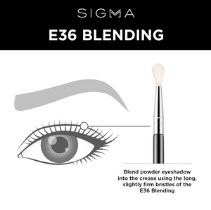 Sigma Beauty - E36 BLENDING BRUSH - BLACK/CHROME
