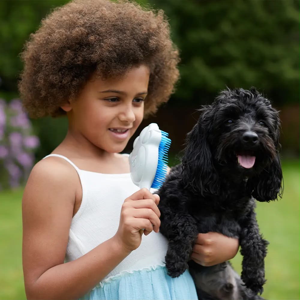 Pet Angel - Detangling pet brush - Turquoise