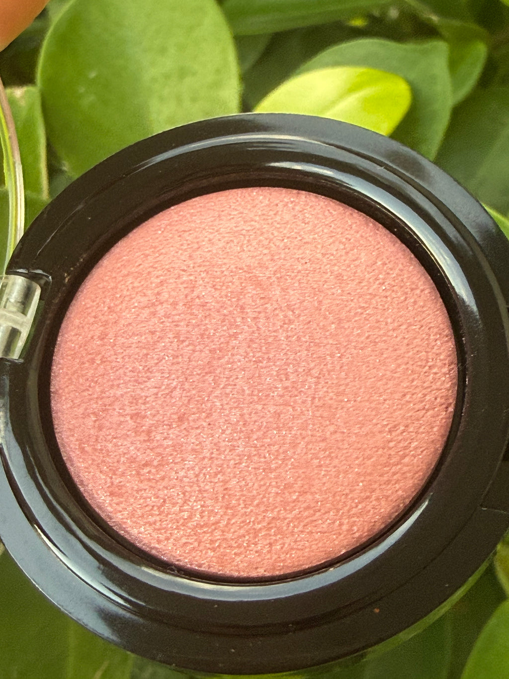 BH Cosmetics Bombshell Blush - Delightful