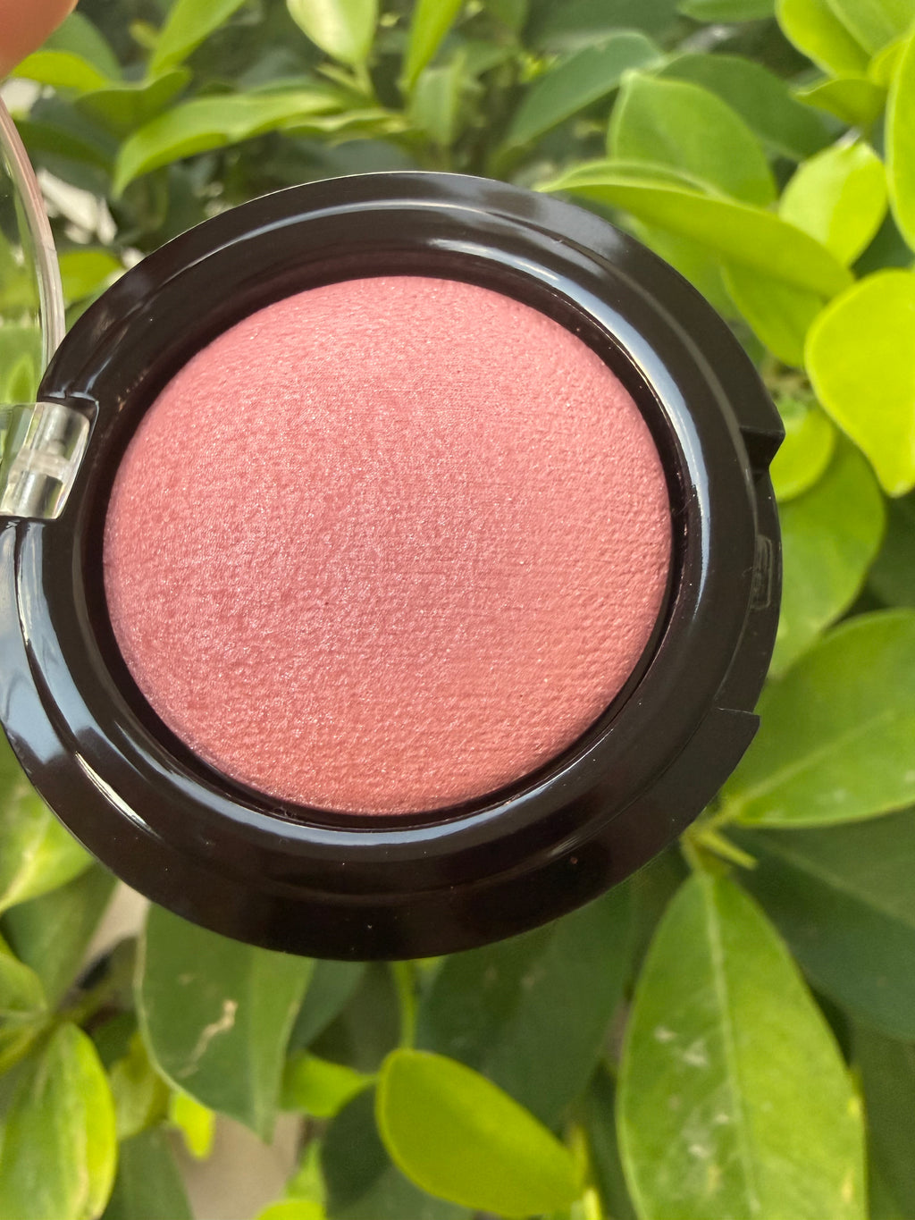 BH Cosmetics Bombshell Blush - Delightful