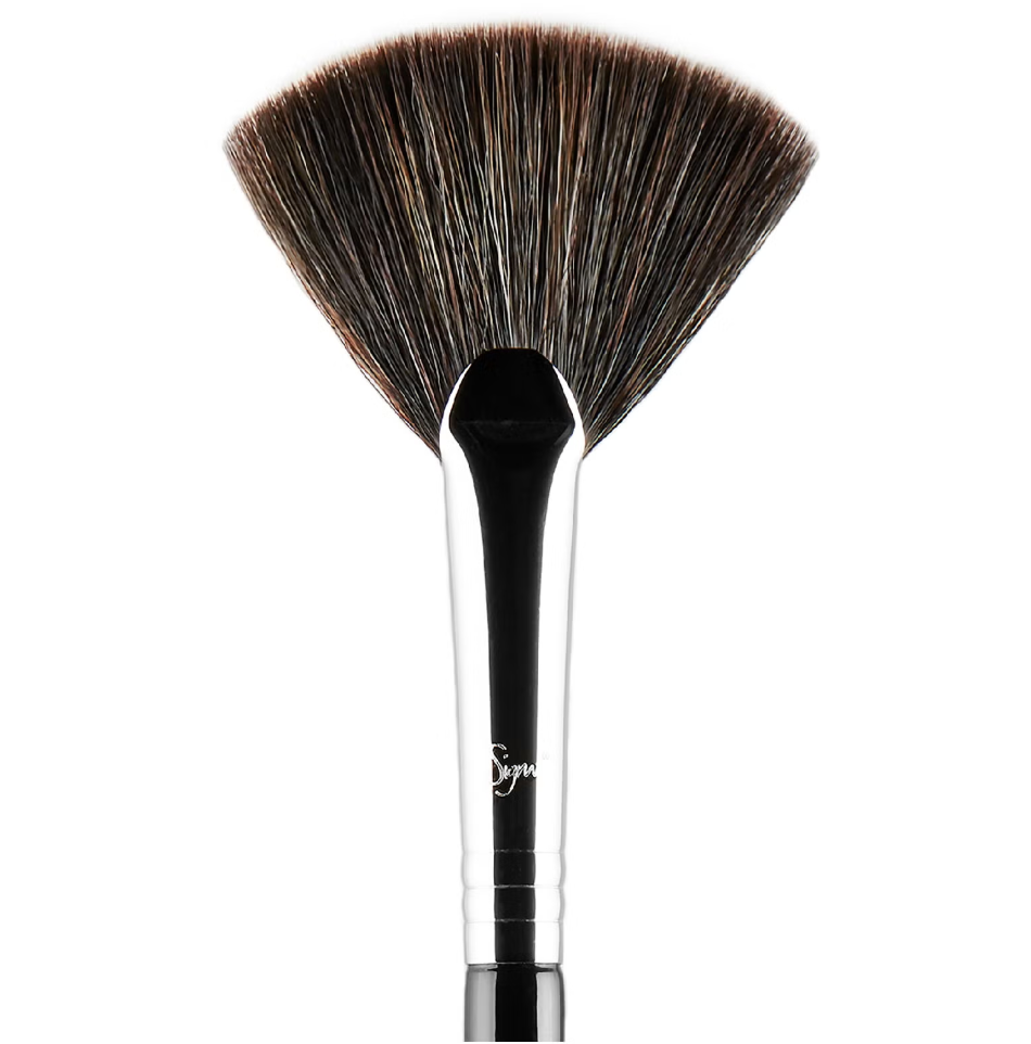 Sigma F42 Strobing Fan Brush
