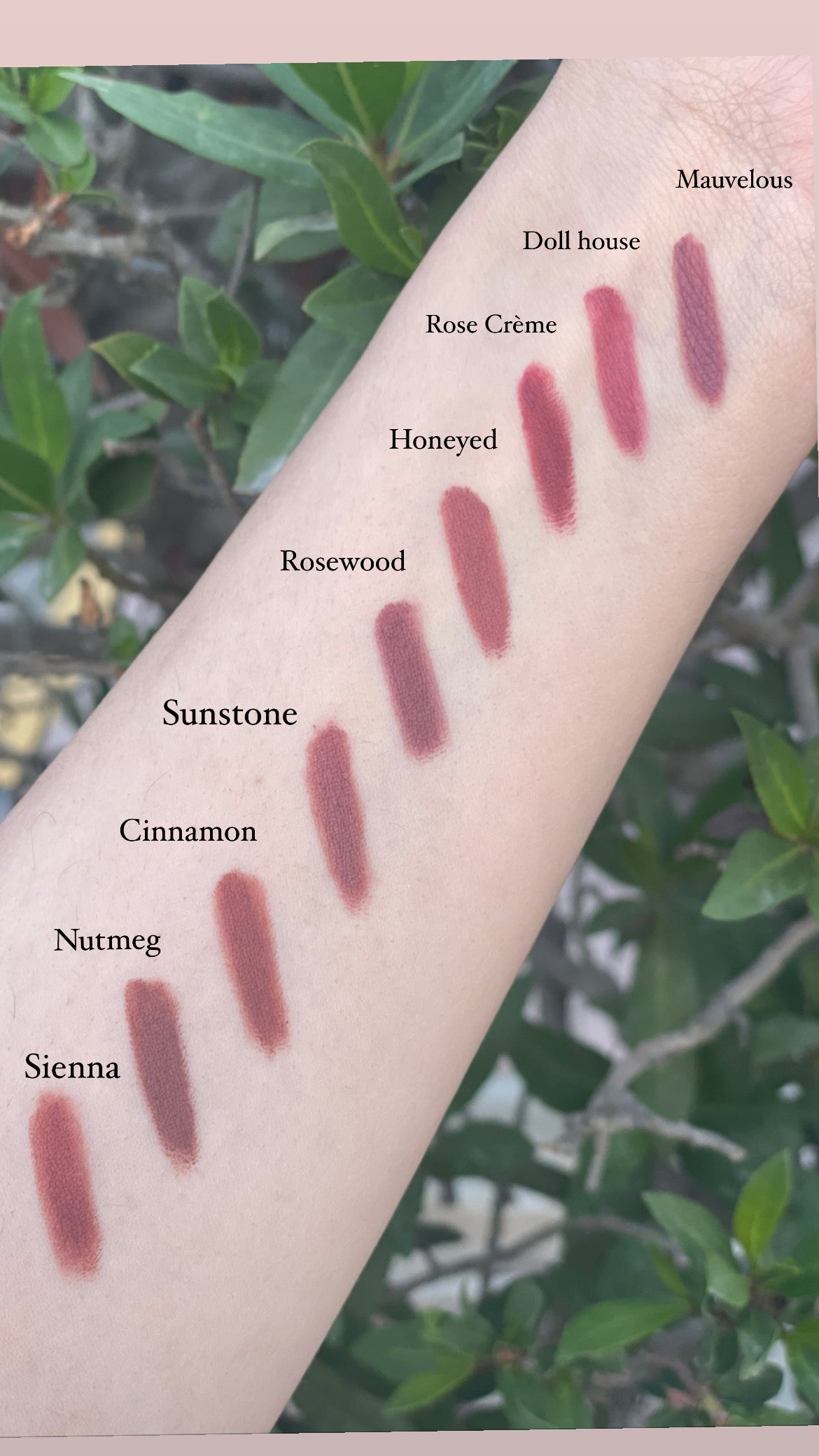 Sally's Spell - 05 Rosewood