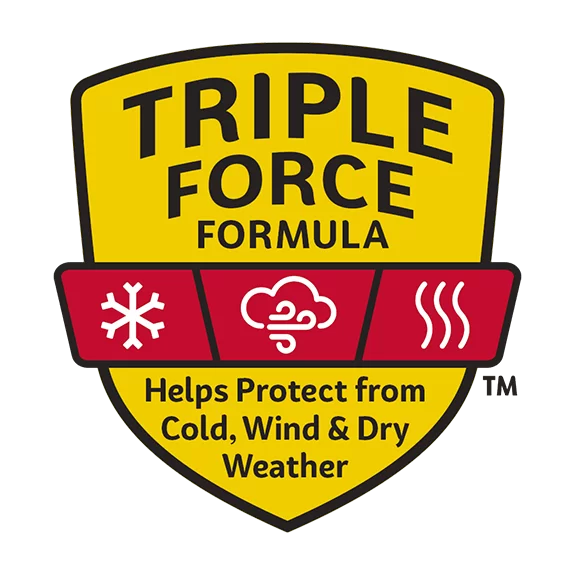 Carmex - Classis lip balm ( the original )