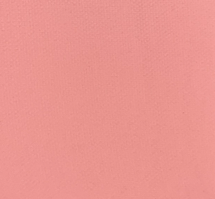 Sally’s Spell blusher - 01 Corset