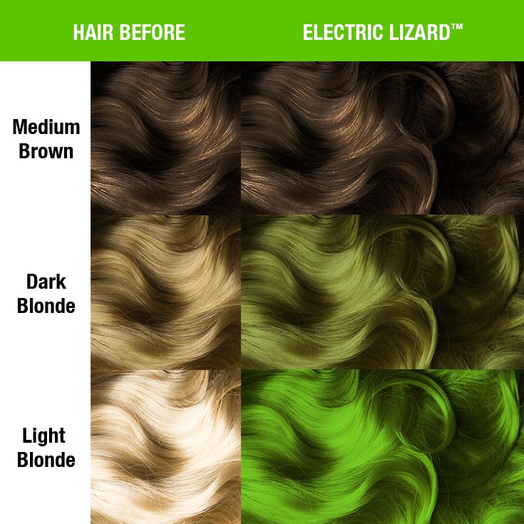 ELECTRIC LIZARD™ - CLASSIC HIGH VOLTAGE®