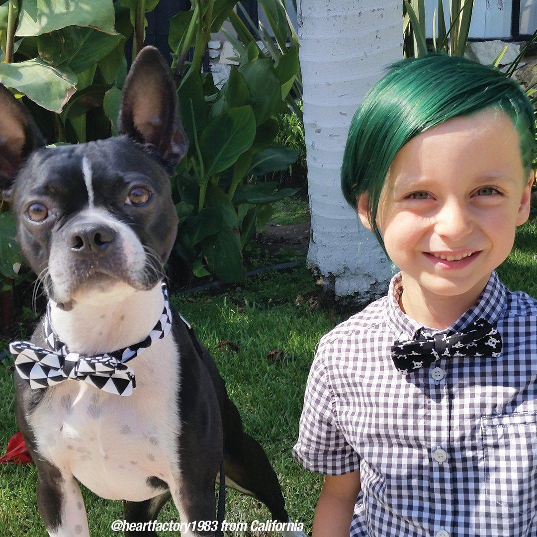 GREEN ENVY™ - CLASSIC HIGH VOLTAGE®