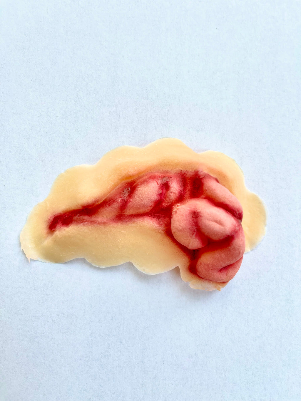 Woochie - Brain Matter appliances