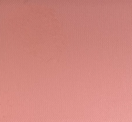 Sally’s Spell blusher - 06 Rose Dust