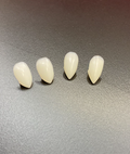 Fake teeth - Vampire Fang medium length