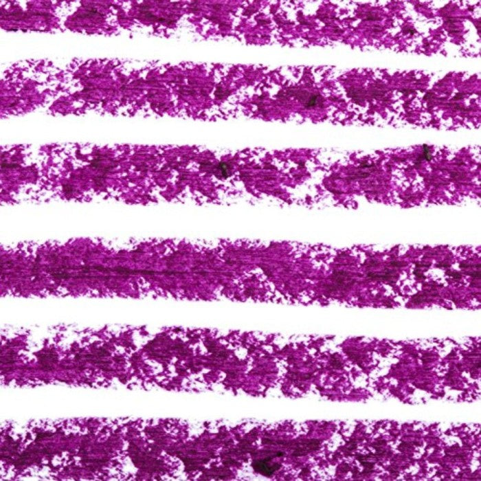 Sigma Beauty - Lip Base - Rhapsody